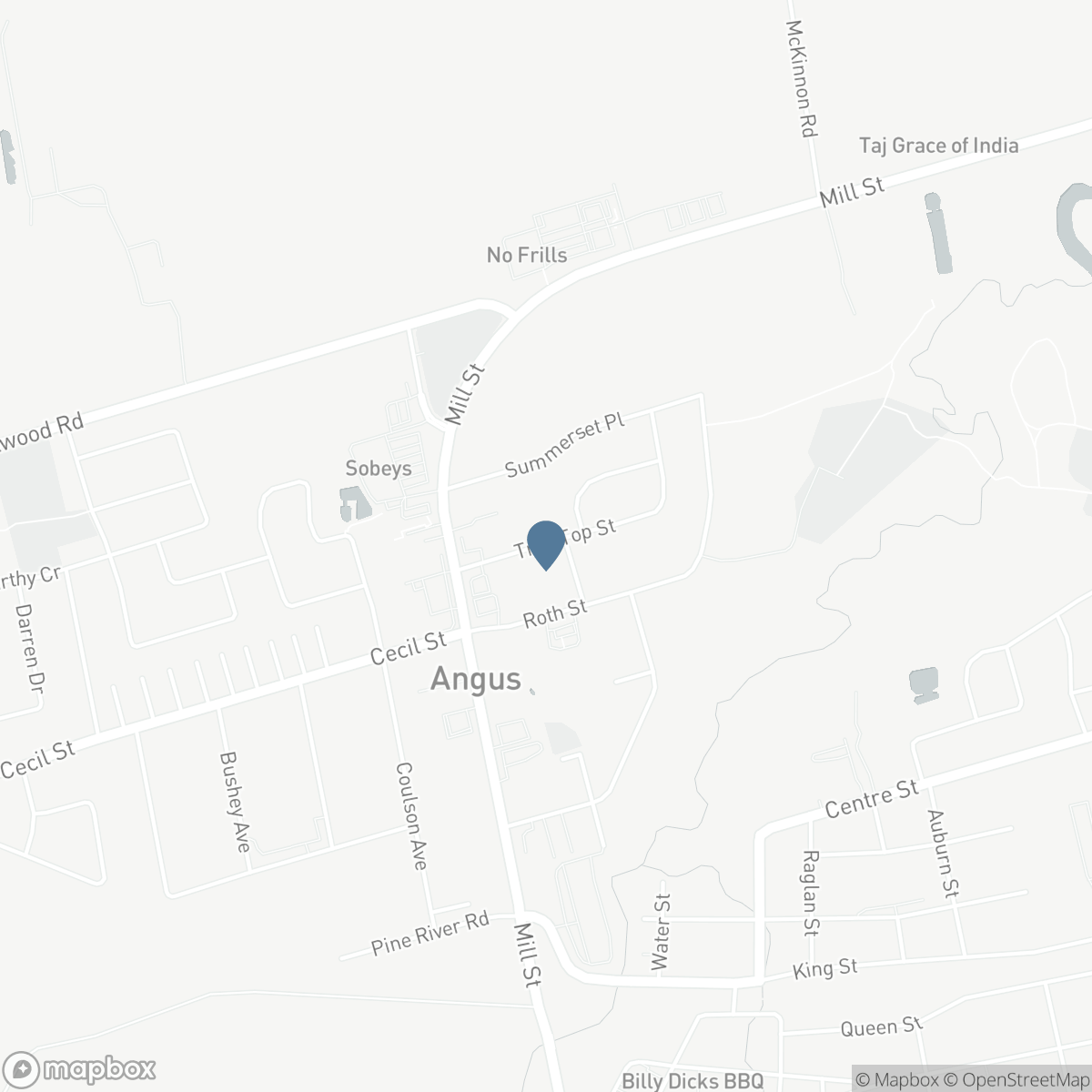 17 TREE TOP STREET, Angus, Ontario L0M 1B2